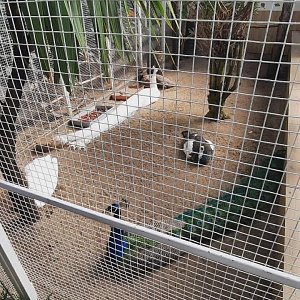 Návštěva zámku  Książ v rámci česko-polského projektu